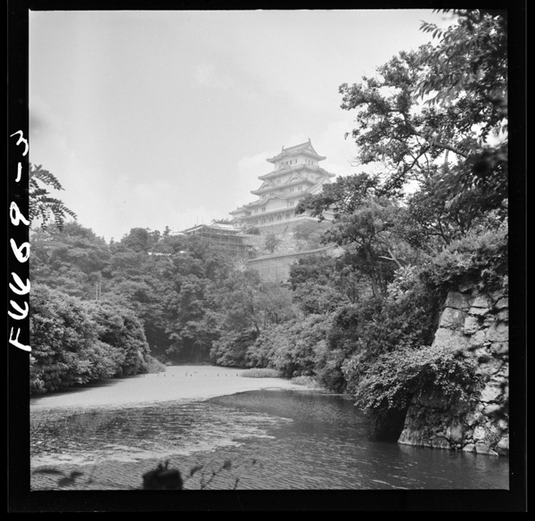 5 doubutsuenyoriseihokuwo■su