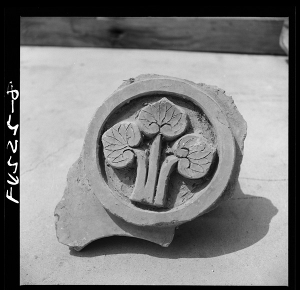 12 mitsubatachiaoi(hondashi)