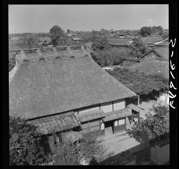 3 hagenzonsurukyuutakunozenyou