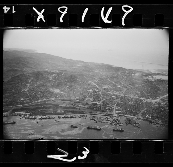 Hantoujounochikeinihirogaruwakamatsushi.sekitanshuusanchitoshiteshirareru