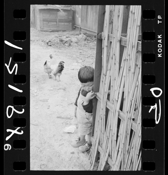 Tankoujuutakunokodomo.kurate