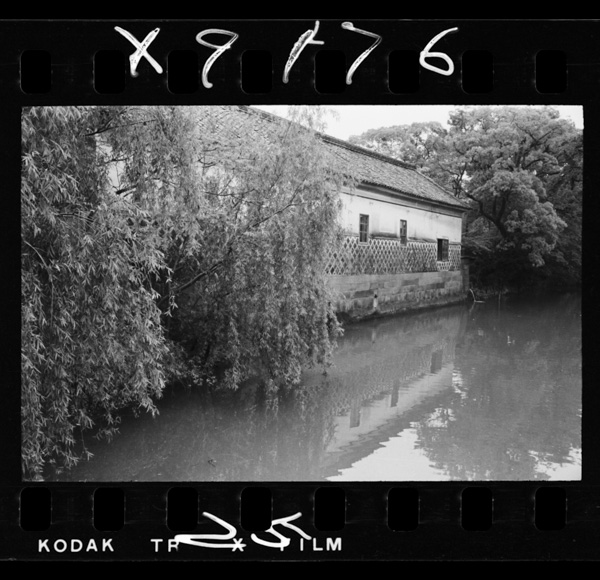 Yanagawashi.shinai,itarutokoronisuirogatsuujiteiru