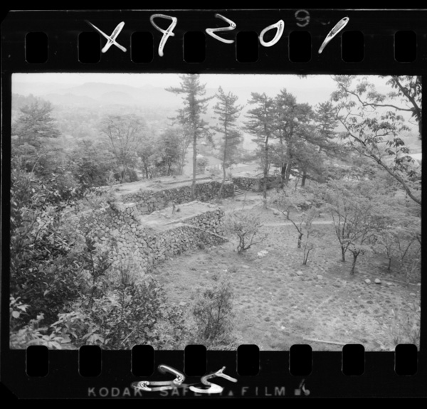 Tottorijoushihaimahashizukanakouenninatteiru