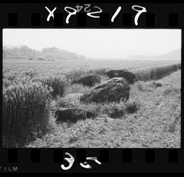 Inabanokokubunjiato.kokufu