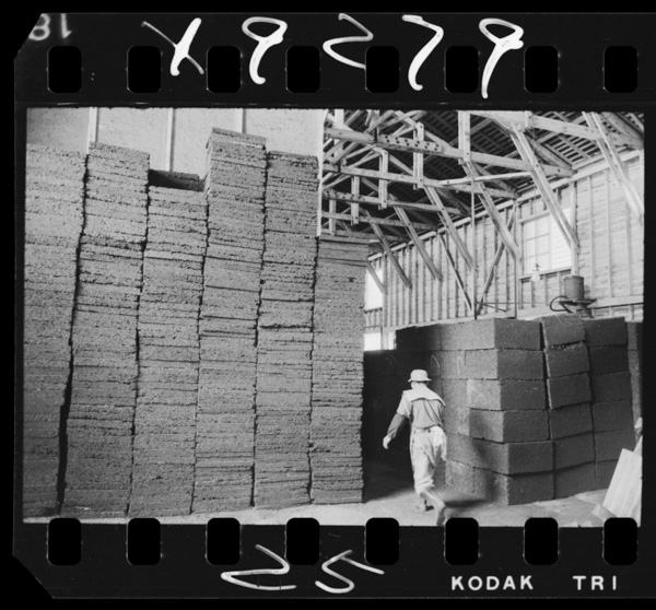 Kurayoshishinokorukukoujou