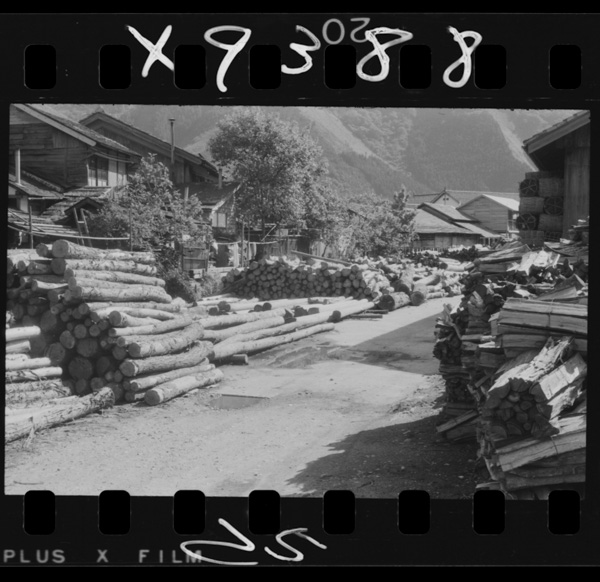 Houbutsuzannosanroku,neuhamokuzainoshuusanchideseizaigasakanda