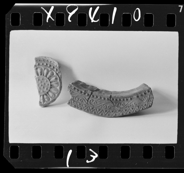 Narajidainokawara.shikano