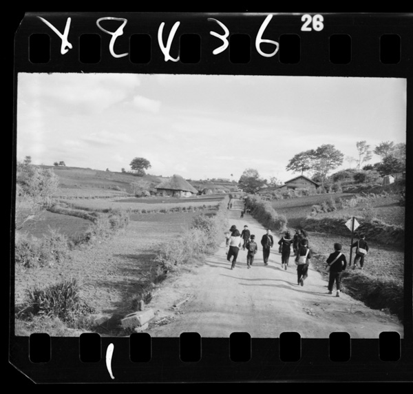 Yagifukinnonouson.suidenhasukunakuhatasakunitayoru