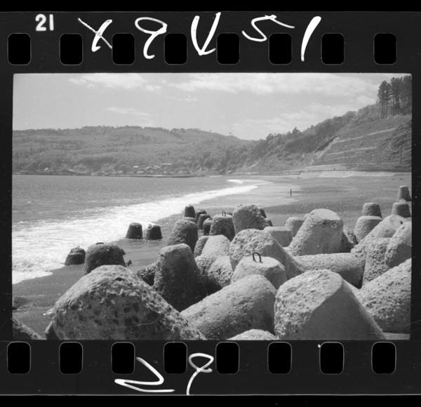 Kujikounohorikomikouji