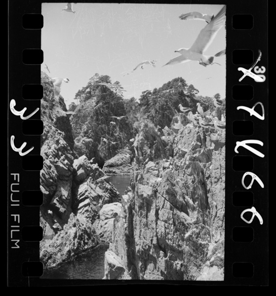 Uminekonoseisokuchi.tarou