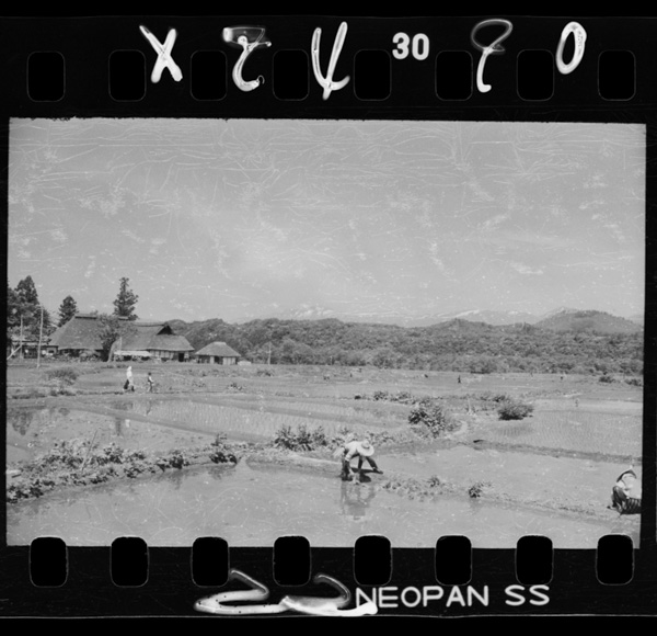 Shizukuishichoufukinnosuidenchitai.shizukuishigawanohiroitaninihirakeru