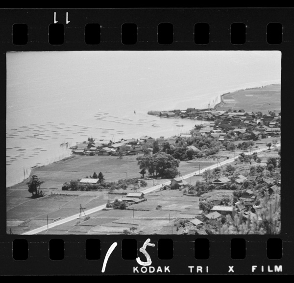 Asokaininozomumiyazushikokubufukin.kakiyoushokunoikadagaukabu