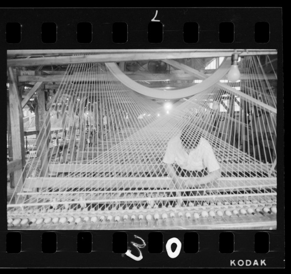 Tangochirimenhanishijinoritohataishoutekinirikishokkidekoujouseisansareru