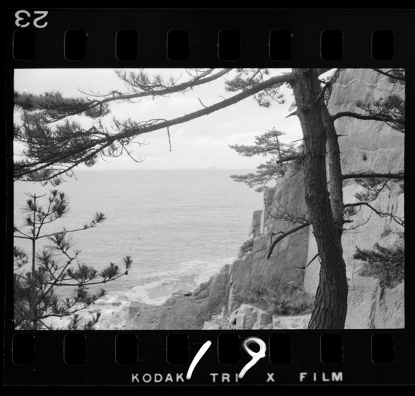 Tangonotoubukaiganhakakouganshitsunodangaigauminisemaru.miyazushiyurafukin