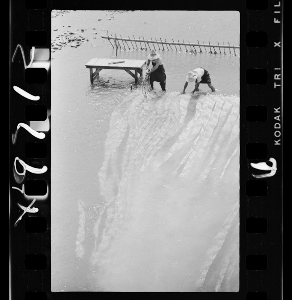 Kamogawanoyuuzenarai