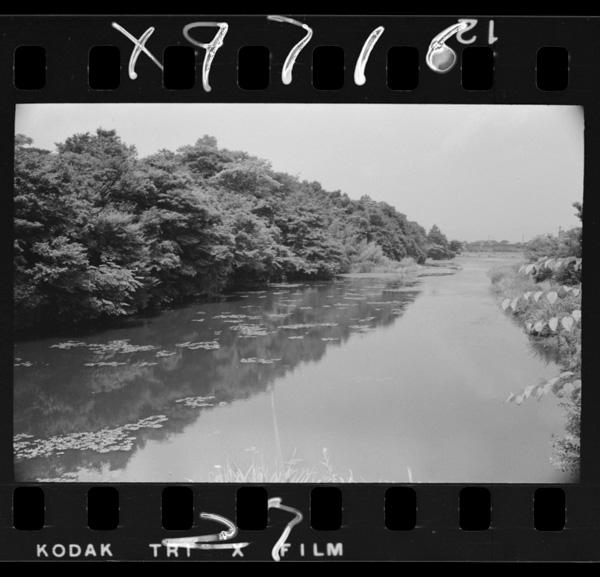 Kameokajoushi.motonoshirohaakechimitsuhidenosouken