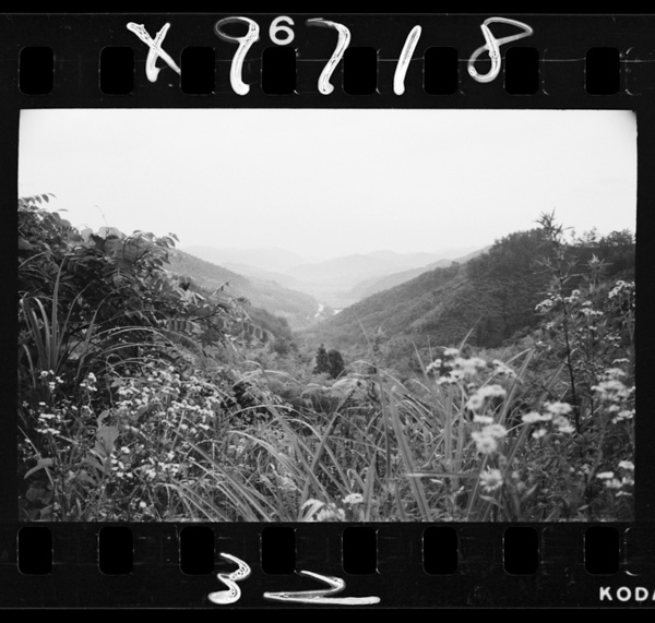 Kannontougekaratounanhou,sonobehoumenwomiru