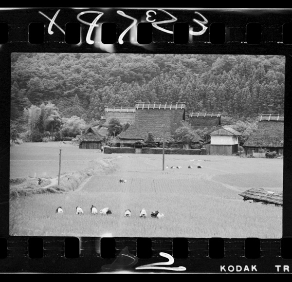 Yuragawajouryuunotaninihiraketasuiden.noukanoyanenihachigiganotteiru