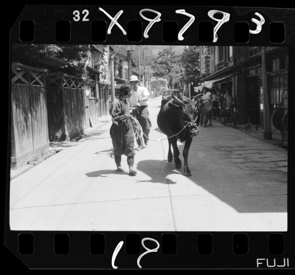 Muraokahatajimaushinotorihikichitoshiteshirareru