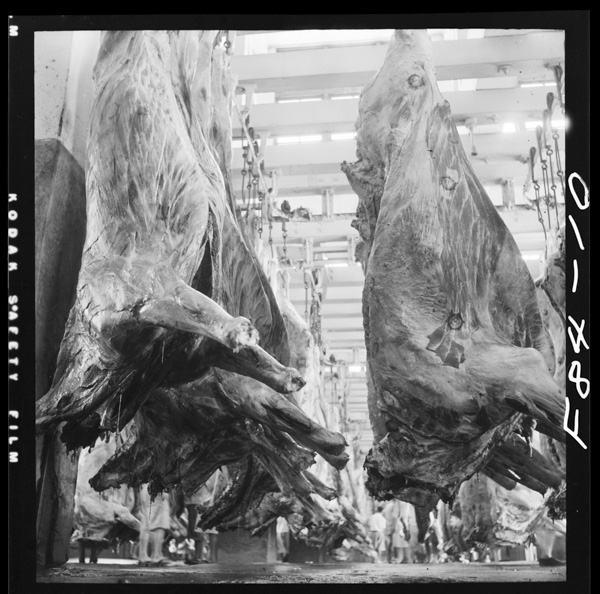 Niku(shibauratosatsujo)