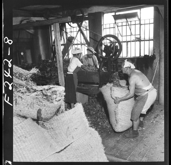 Umanoapāto 3shiryoumokyoudoudejunbishitamonowoataeruerareteiru