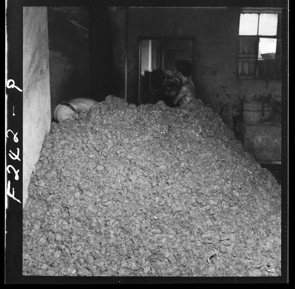 Umanoapāto 4kokodehabafunmokireinimatometeshochiwoshi