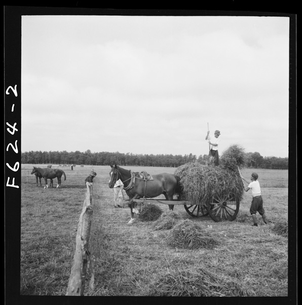 Sanrizuka(sononi) bokusounoataekatagaseiikuwosayuusurudaiichijoukennakotohahokanoumatodouyoudaga