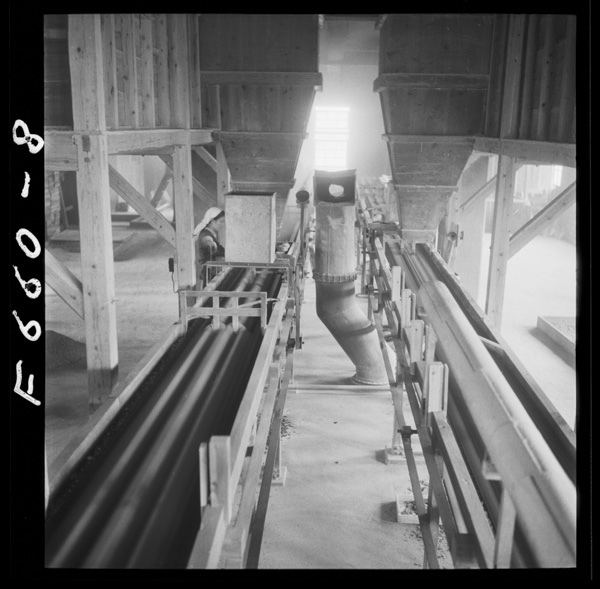 Kikaikasareruto berutokonbeademushimamegaokuraretekuru