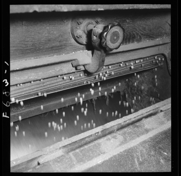 Daizunoshori tsubushitadaizuwosukoshizutsutairaniotosusouchi