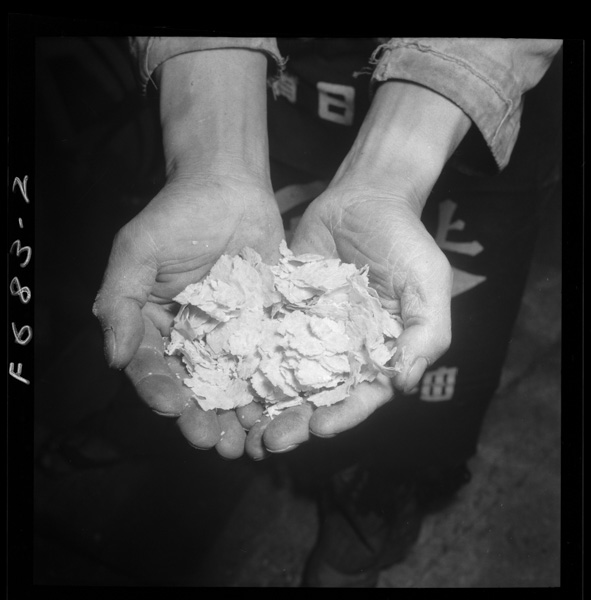 Daizunoshori ochitekurumamehaichiyouniappensareteiru