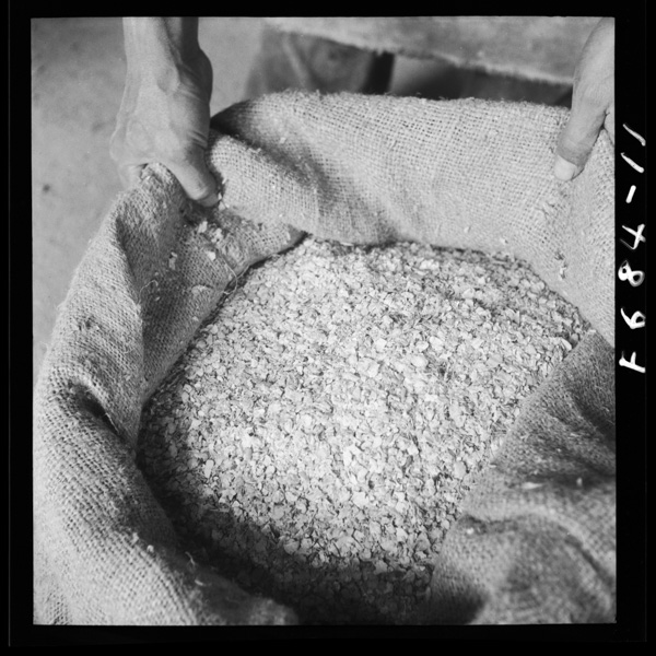 Daizunoshori oyuwososoide,juubunnisuibunwosuwase…