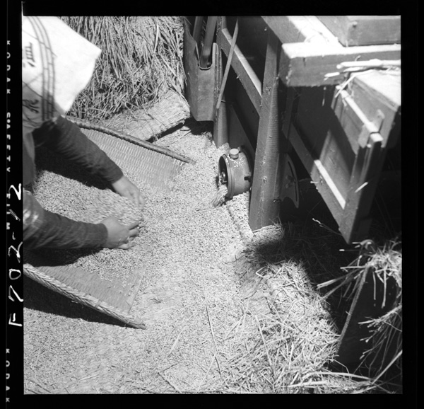 Dakkoku 1 2 inatabagajuubunnikansousurutodakkokukiwotsukattemomiwootosu