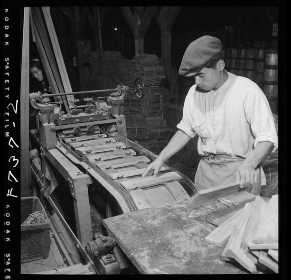 樽の作り方 一樽の側板は,きまった長さに機械で切る