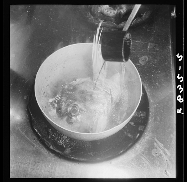 7 tainoaraniyaebinogusokuniha,sake,mirinwobainimizudewari,soredeniteokitochuudeshouyuwokuwaeru 8 9