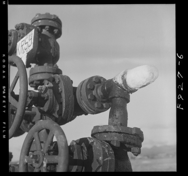 Saiyu 2 3 hajifunseigenben