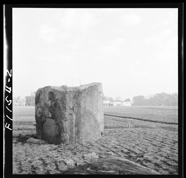 Nishinomaruokuniwa 5 oujidononomaeniarumukashinoniwaishi