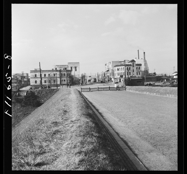 Hanzoumon mongaikarayotsuyahoumenwomiru.konomichihayotsuyamadeitchokusenninobiteiru