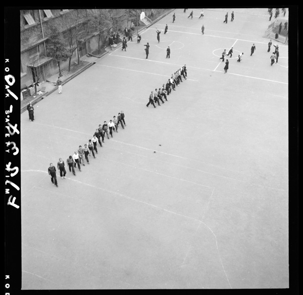 Naminotsutawaruhayasa