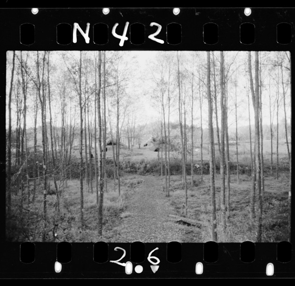 Togariishikofun,shuurakuchinofukugen