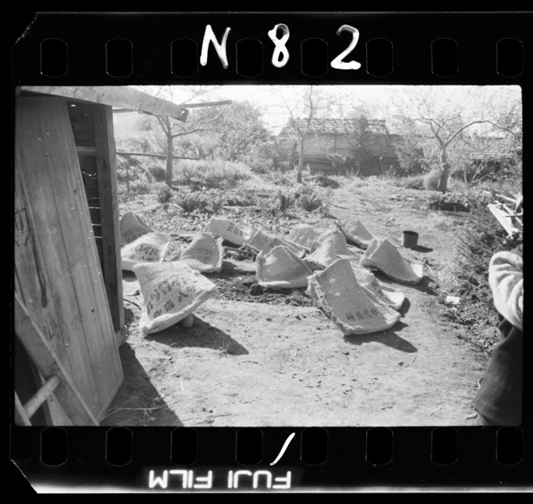 Seijouyasainokagakuhiryou