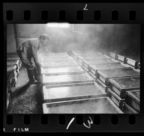 Fuyuninarebakantengatsukurareru.higashinose