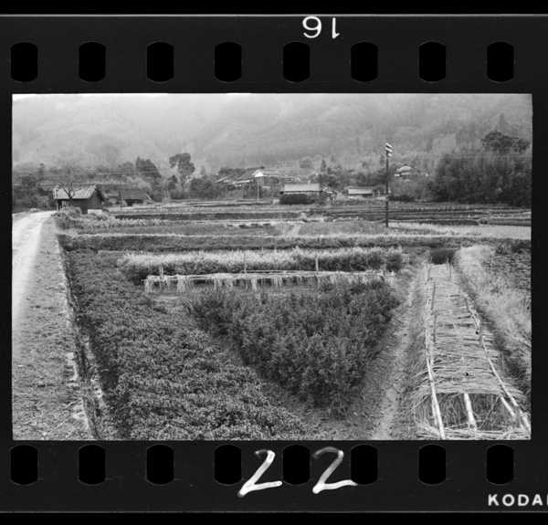 Ikedashihoppounosankanbuhauekinohonba.naegidokogamedatsu