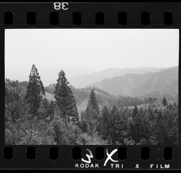 野間峠から東北,京都府境方面をみる