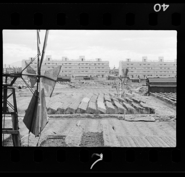 Sosaibatakenitekkinapātogatatsu.sakaishihamaderafukin