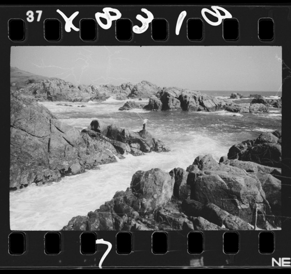 Tanesashikaigan.enchouyaku4kiromētoru,taiheiyounimenshitagansekikaigan