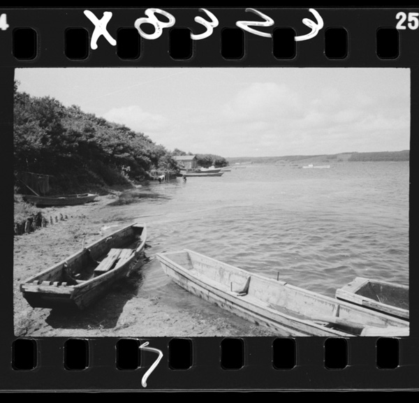 Aomorikensaidainokoshou.kogawaranuma