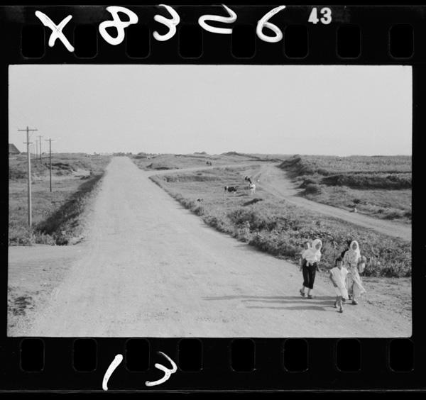 Nihonnomanshuutoiwarerukaiganzoinogenya.oomisawamachiyokawame