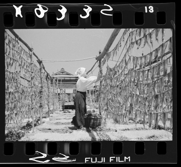 Ikahoshi.shīzunha8gatsukara12gatsu