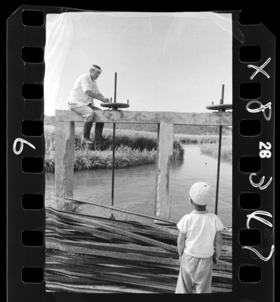 Iwakigawakaryuukantakuchinosuimon