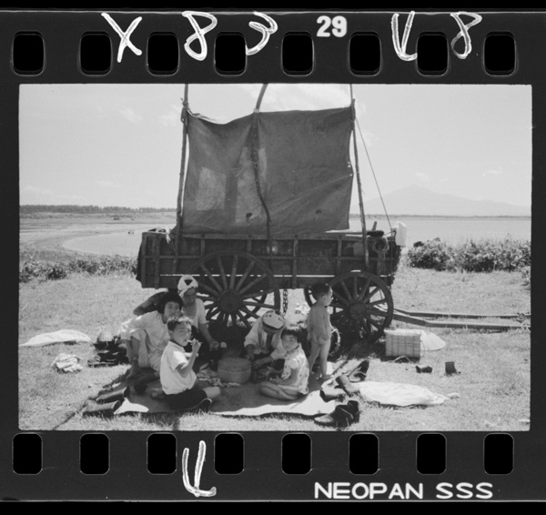 Hiratakinumanokishi.kusakarinikiteitaikka